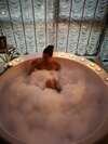 Апартаменты President Jacuzzi Apartment Клайпеда-1